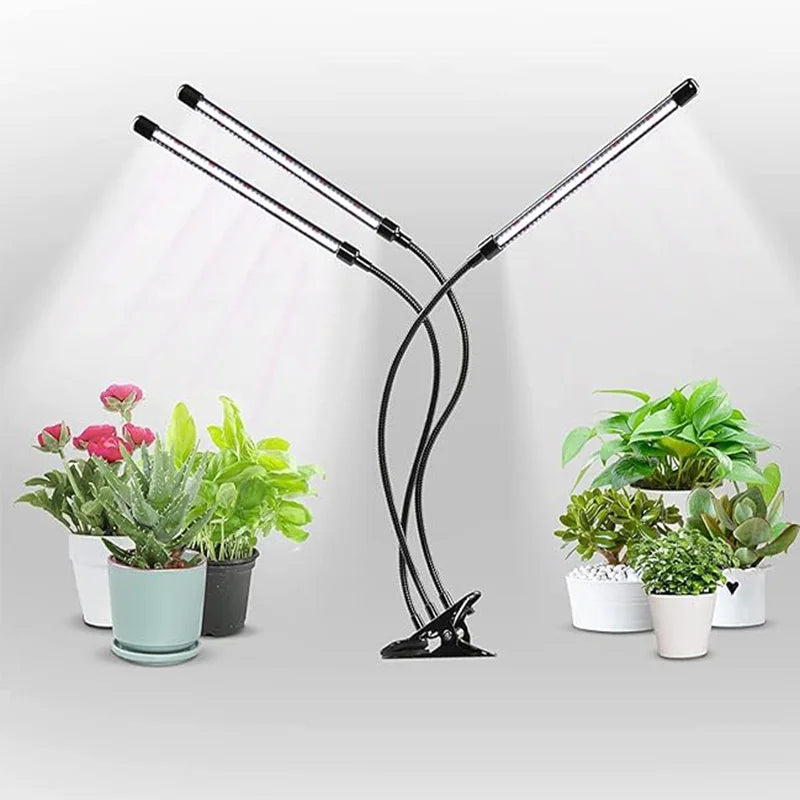 LED Grow Light for Indoor Plants, Full Spectrum with Timer