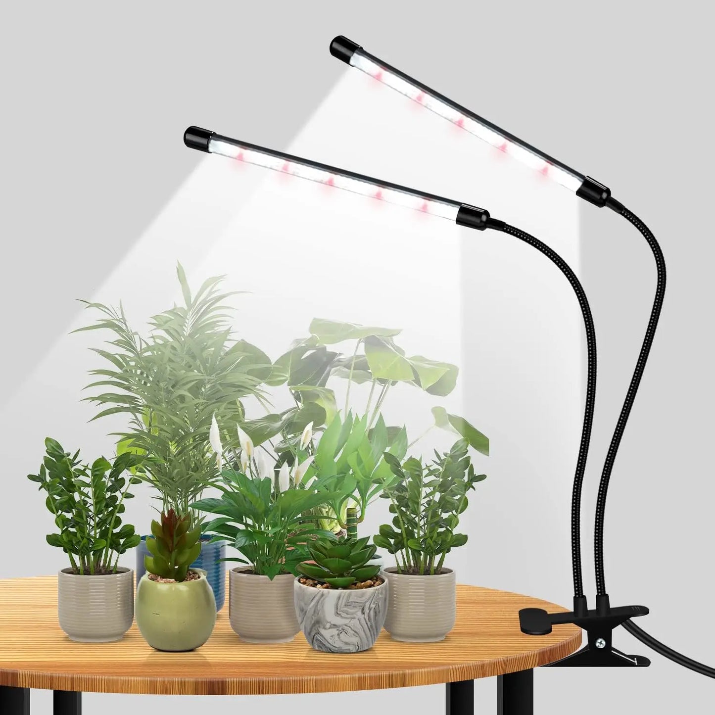 LED Grow Light for Indoor Plants, Full Spectrum with Timer