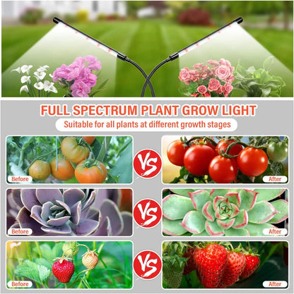 LED Grow Light for Indoor Plants, Full Spectrum with Timer