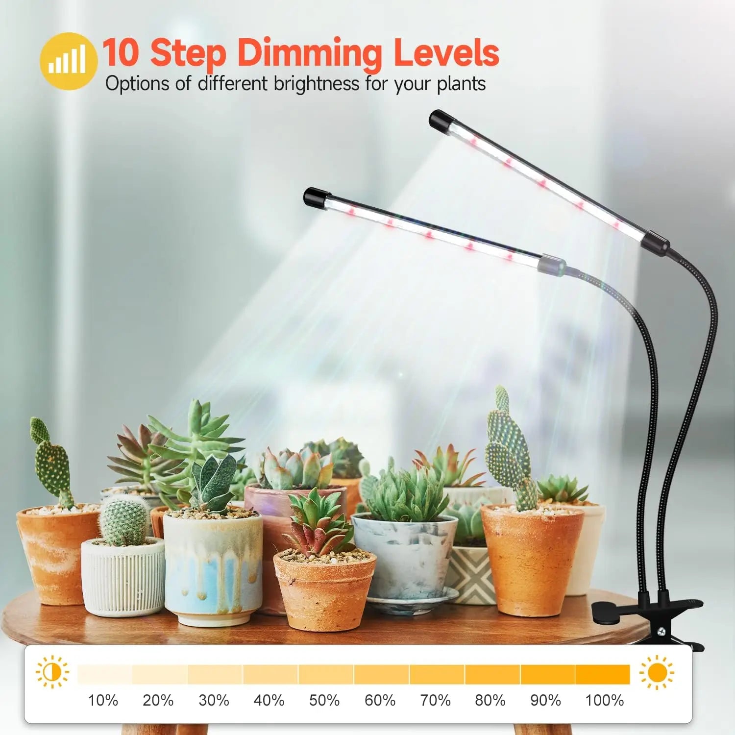 LED Grow Light for Indoor Plants, Full Spectrum with Timer